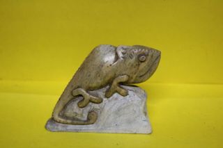 Chameleon Lizard Stone Carving Brown Serpentine Shona Zimbabwe African Art 5