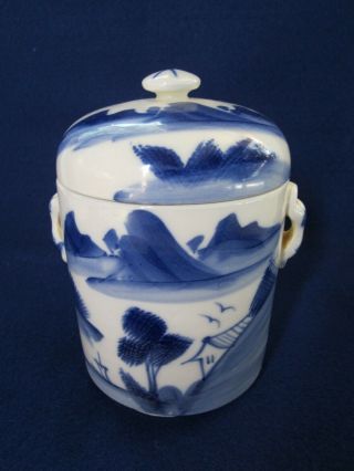 Antique 19th C.  Chinese Qing Dynasty Blue & White Porcelain Tea Caddy