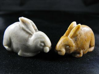 Two Netsuke Beads 1 1/2 " Antique/vintage Hand Carved Natural Stone Rabbits