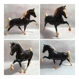 Breyer Horse 854 Memphis Storm Le Glossy Charcoal Twh Stunning