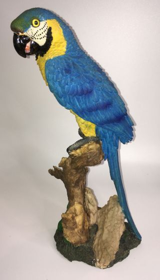 Tropical Rainforest Paradise Bird Tiki Bar Macaw Parrot Perch Branch Resin