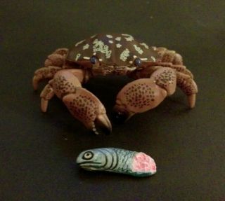 Rare Kaiyodo Epoch Toxic Floral Egg Crab Atergatis Floridas W/fish Figure