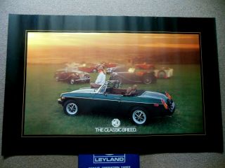 British Leyland 1976 Mgb Classic Breed Factory Dealer Poster 35 " By 28 "