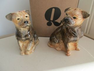 Quail Pottery Border Terrier Salt & Pepper Pots & Boxed Special Price