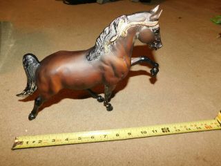 Breyer Tennessee Walking Horse Iii 1998 Wche 988 Of 1,  500 Brown W/ Gold Design