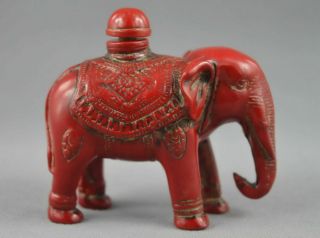 Asia Coral Carve Lifelike Elephants Rare Delicate Lucky Amusing Snuff Bottle