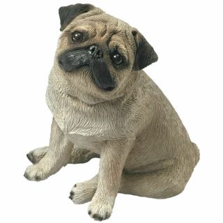 Sandicast " Mid Size " Sitting Fawn Pug Dog Sculpture