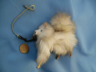 Antique Eskimo Spitz Dog For Fashion Doll Glass Eyes Fluffy Eskimo Dog
