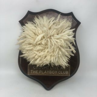 Vintage Playboy Bunny Tail Caught Live At The Playboy Club On Wooden Plaque