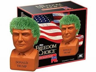 Chia Donald Trump President With Seed Pack 8 " X 4.  5 " X 7.  3 " Decorative Potter.