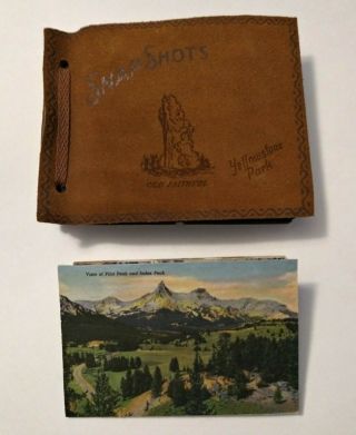 Vintage Snapshot Yellowstone Park Souvenir Photo Album And Postcard Photo Packet