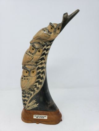 Vintage Hand Carved Buffalo Horn " Owls " Made In Thailand,  11 " H X 5.  5 " $650