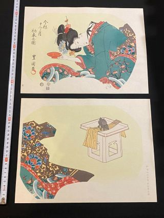 Ukiyo - E Japanese Woodblock Print Toyokuni Onna - E Bijinga Spring Nishiki - E O - Ban