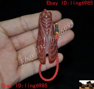 Chinese Hongshan Culture Red Agate Onyx Carved Cicada Cicala Amulet Pendant