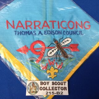Boy Scout Oa Narraticong Lodge 9 N2 Order Of The Arrow Neckerchief Nj