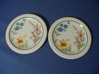 Southern Pacific Wildflowers Railroad China 2) 5 1/2  Plates 3
