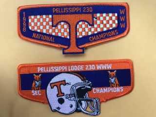 Pellissippi Lodge 230 Tennessee Sec And National Champs Flaps