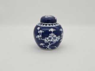 Antique Vintage Chinese Prunus Ginger Jar With Cover Kangxi Marks