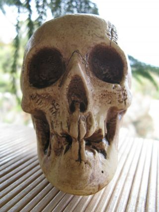 Vintage Randotti Medium Skull 829 Still Glows In The Dark