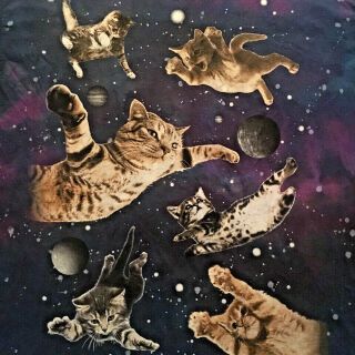 Feline Funny Kittens Cats Flying Ninja Outer Space T - Shirt - Odm Tie Dye - (3xl)