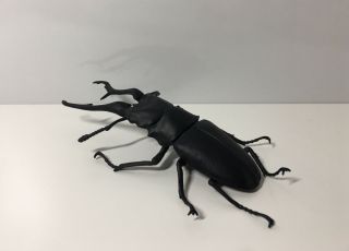 Japan Exclusive So - Ta Giraffa Stag Beetle Insect Pvc Figure Black