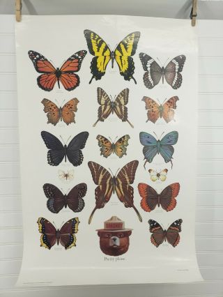 Smokey The Bear Butterflies State Forest Poster Vtg Fire Prevention Usda Usfs