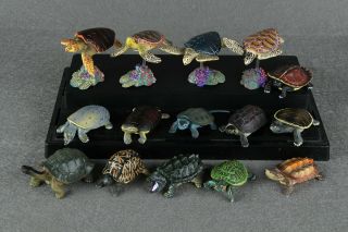 15pcs Set Land Sea Turtle Reptile Figure Model Japan Takara Tomy Encyclopedia