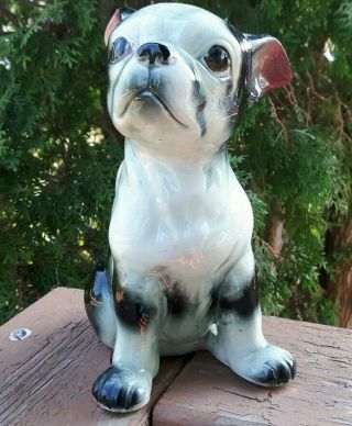 Vintage Boston Terrier Puppy Dog Figurine Black White Ceramic Large Japan 8 