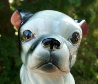 Vintage Boston Terrier Puppy Dog Figurine Black White Ceramic Large Japan 8 