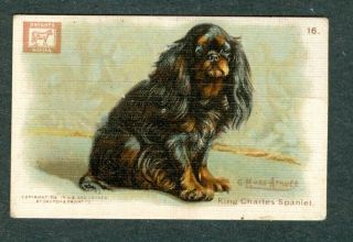 1910 King Charles Spaniel Dog Card Church & Dwight J14a Small G Muss Arnolt Art
