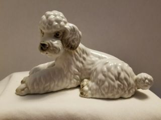 Vintage Ceramic Figurine - Poodle Dog Lying Down With Head Up - White 5 " Long