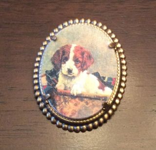 Brittany Welsh Springer Spaniel Hunt Dog Vintage Like Brass Pin Brooch