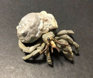 Rare Kaiyodo Epoch Gray Land Hermit Crab Grey Shell Figure Model