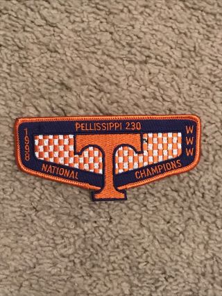 Pellissippi Lodge 230 1998 Tennessee National Champions Flap (last One)