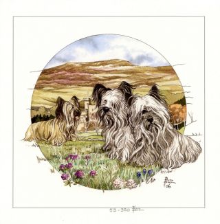 Skye Terrier Dog Fine Art Limited Edition Print - " Skyes On The Island "