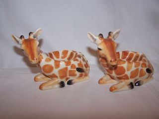 2 Giraffe Egg Cups Safari Animal Pottery Gift Country Artists Ceramics
