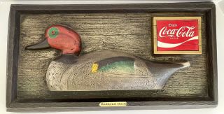 Vintage Coca Cola Redhead Duck Hunting Emboss Graph Sign Edm Chicago 20”x10.  5”