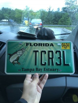 2004 Florida License Plate Tampa Bay Estuary Tarpon Fish Tcr3l
