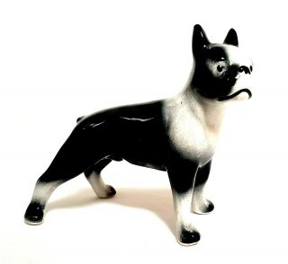 Vintage Boston Terrier Dog Figurine Porcelain Black & White Standing 4.  75 "