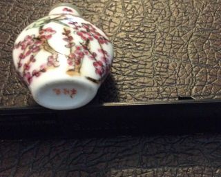 Very Old Asian Porcelain Snuff Bottle with Hand Painted Cherry Blossoms 2