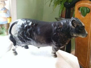 Vintage Black Angus Bull Steer Figurine Glazed Porcelain China Early 1900 