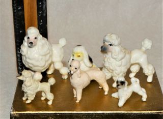 6 Vintage Poodle Puppy Dog Ceramic Porcelain Figurine Miniature - 1 1/8” - 2 1/2 Tl