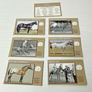 Aphc Appaloosa Horse Club Hall Of Fame Set Of 42 Cards