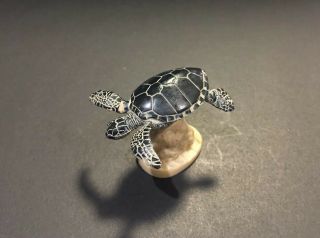 Rare Kaiyodo Epoch Japan Exclusive Galapagos Green Sea Turtle Figure