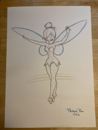 Tinkerbell Peter Pan 1953 Sketch Wall Art