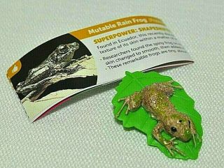 Yowie Mutable Rain Frog Toy Figure Series 7: Animals With Powers No Candy
