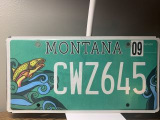 Montana Rainbow Trout Fish License Plate (only One On Ebay) Near