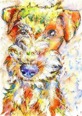 Lakeland Terrier Print Watercolour Dog Painting Art Gift By Josie P Japeyart