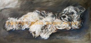 Tibetan Terrier Signed Dog Print By Susan Harper Unmounted