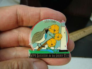 Native Daughters Of The Golden West Ndgw California 2000 - 2001 Pin Rrc5